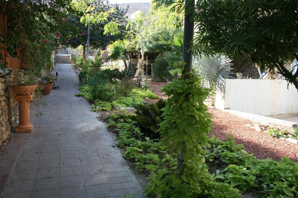 Gil'S Guest Rooms Neve Zohar Exterior foto